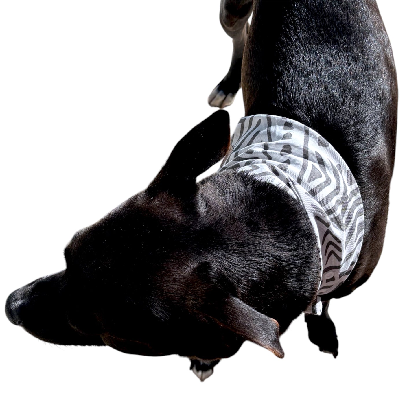 Bandana Aztec