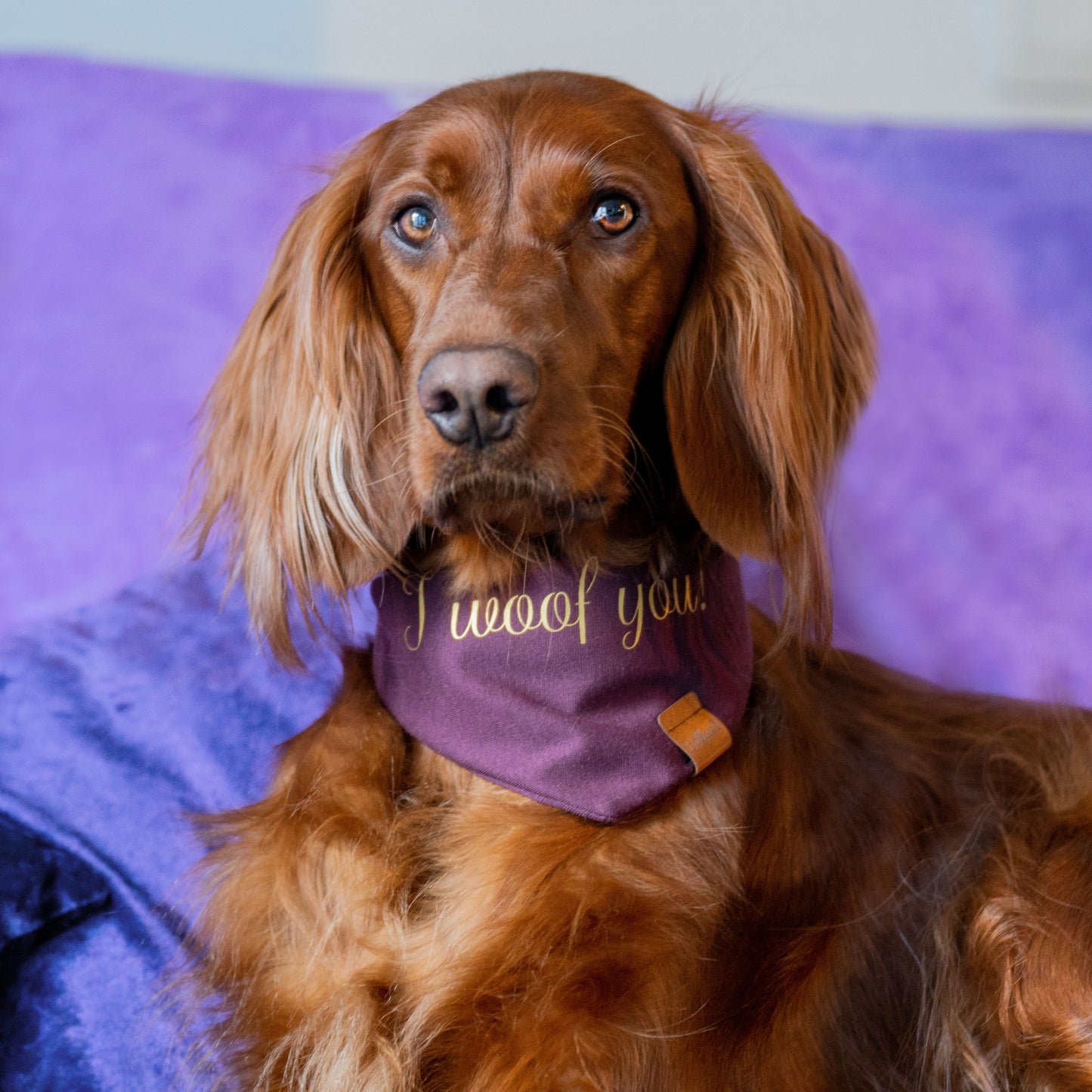 Schriftzug für Bandana