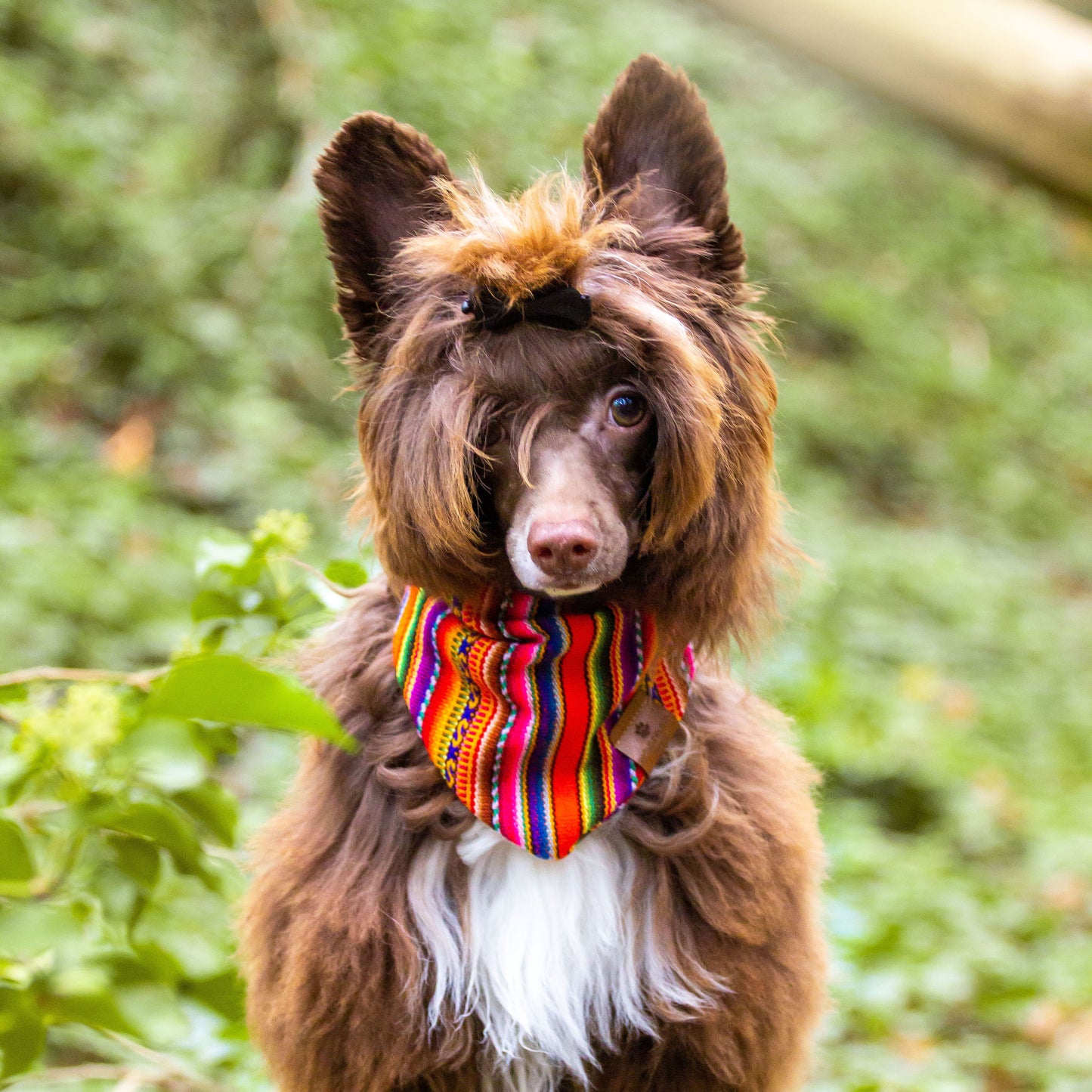 Bandana 'Peru' - Diverse Farben