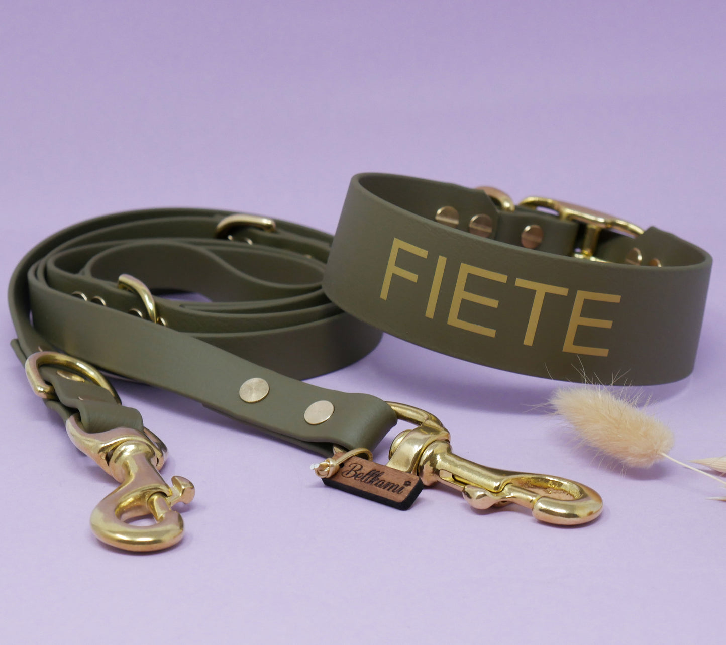 Personalisierung Biothane Halsband