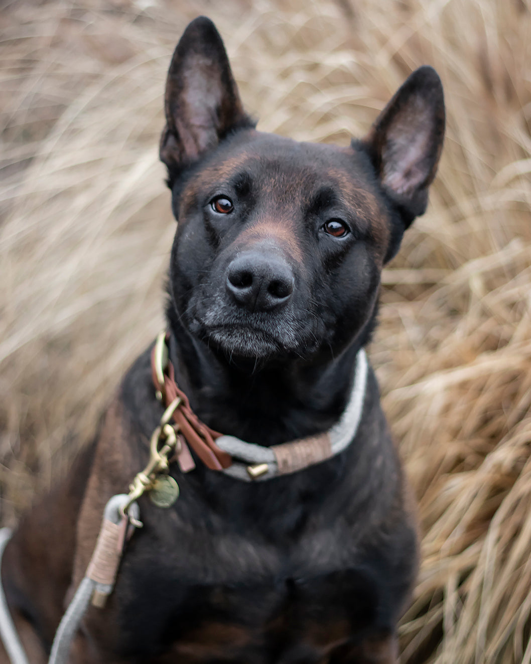 Tauhalsband 'Sahara' - aus Hanfseil