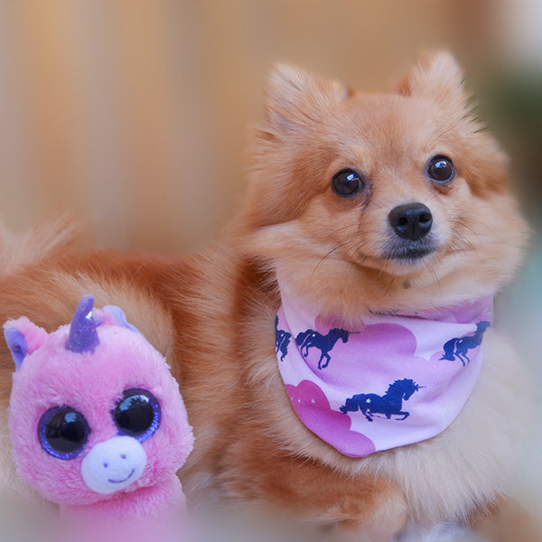 Bandana Unicorn