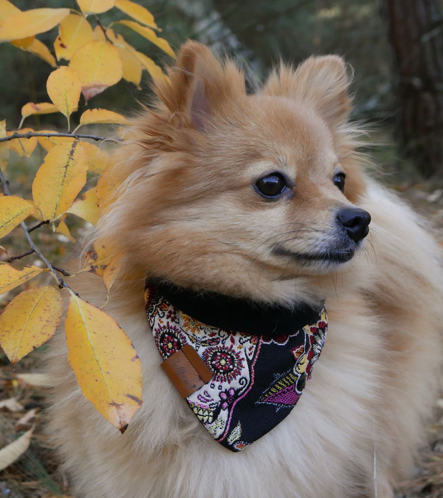 Bandana 'Mexican Skulls' - Black
