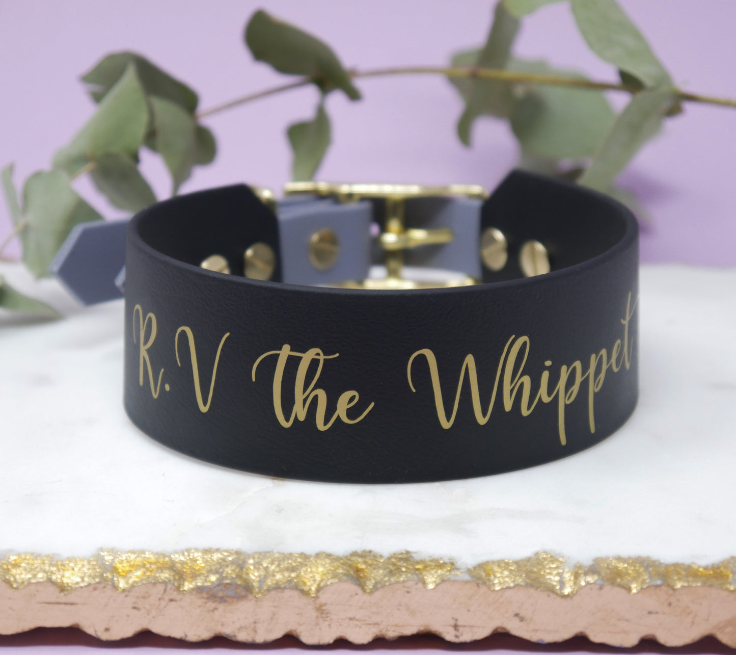 Personalisierung Biothane Halsband