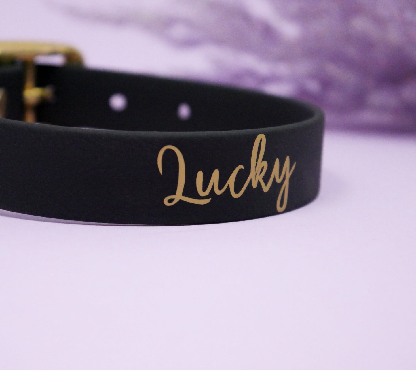 Personalisierung Biothane Halsband