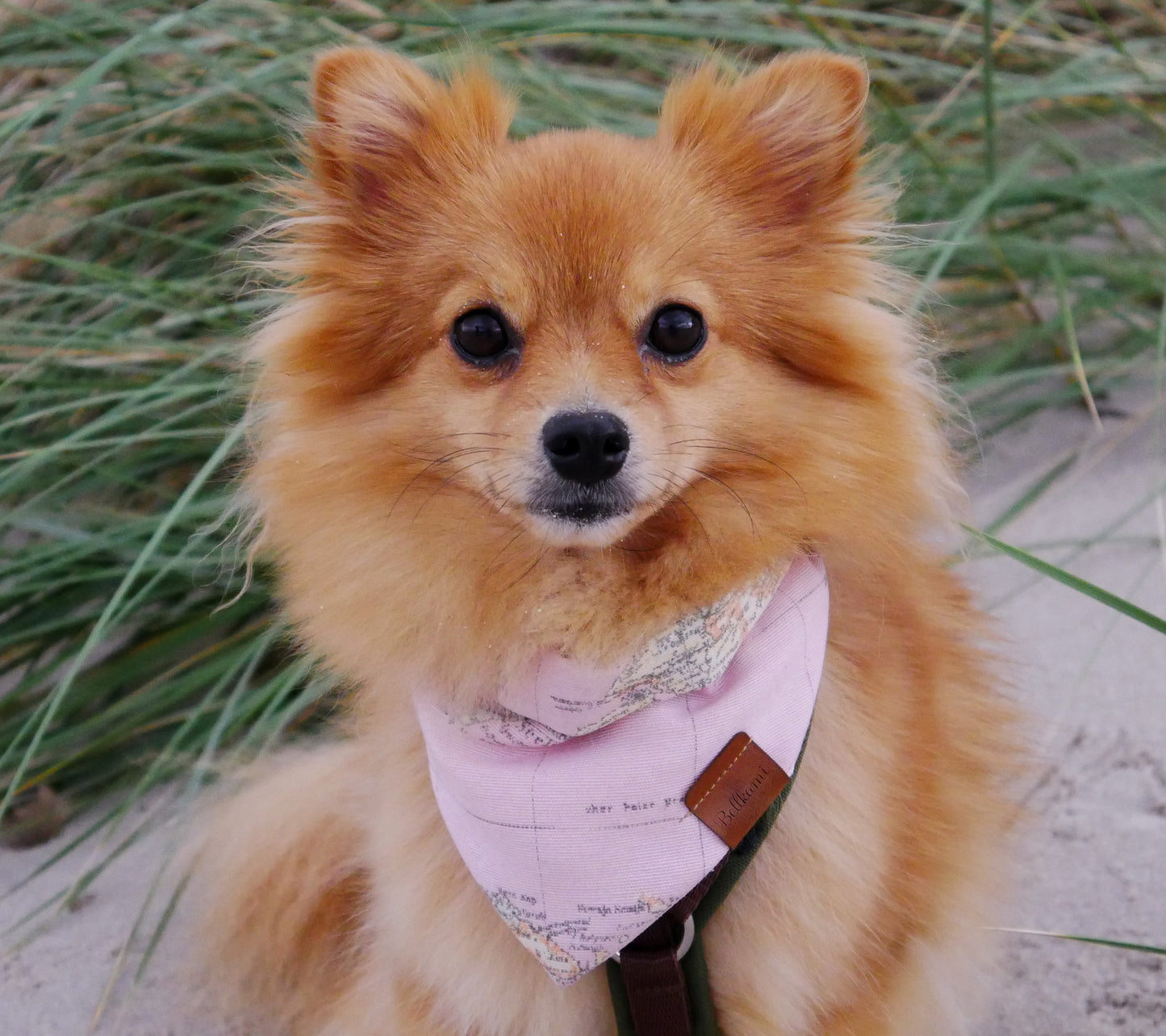 Bandana Traveller Rosa