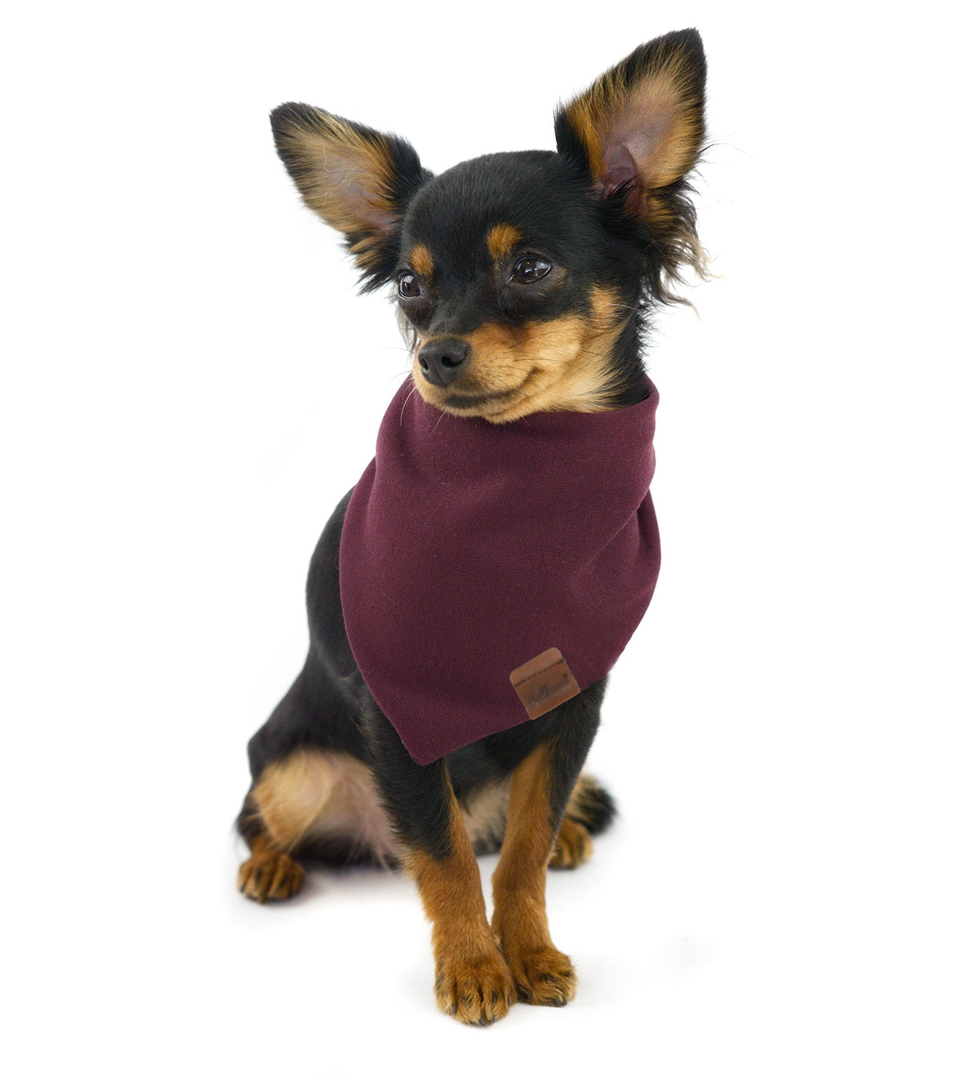 Bandana 'Très Chic Bordeaux'