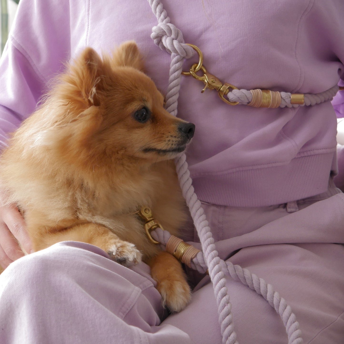 Tauleine Cotton Flair