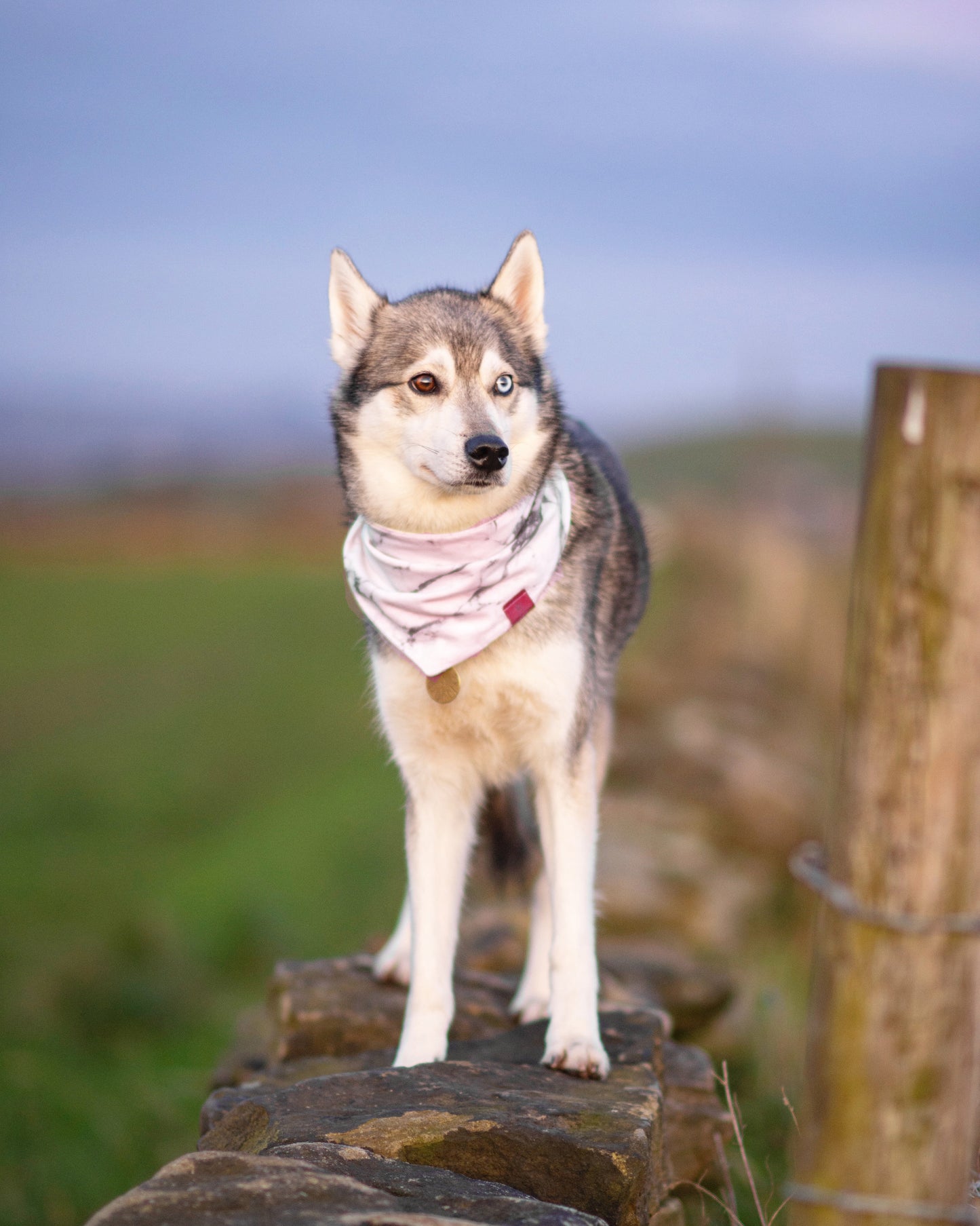 Bandana Classy Marble