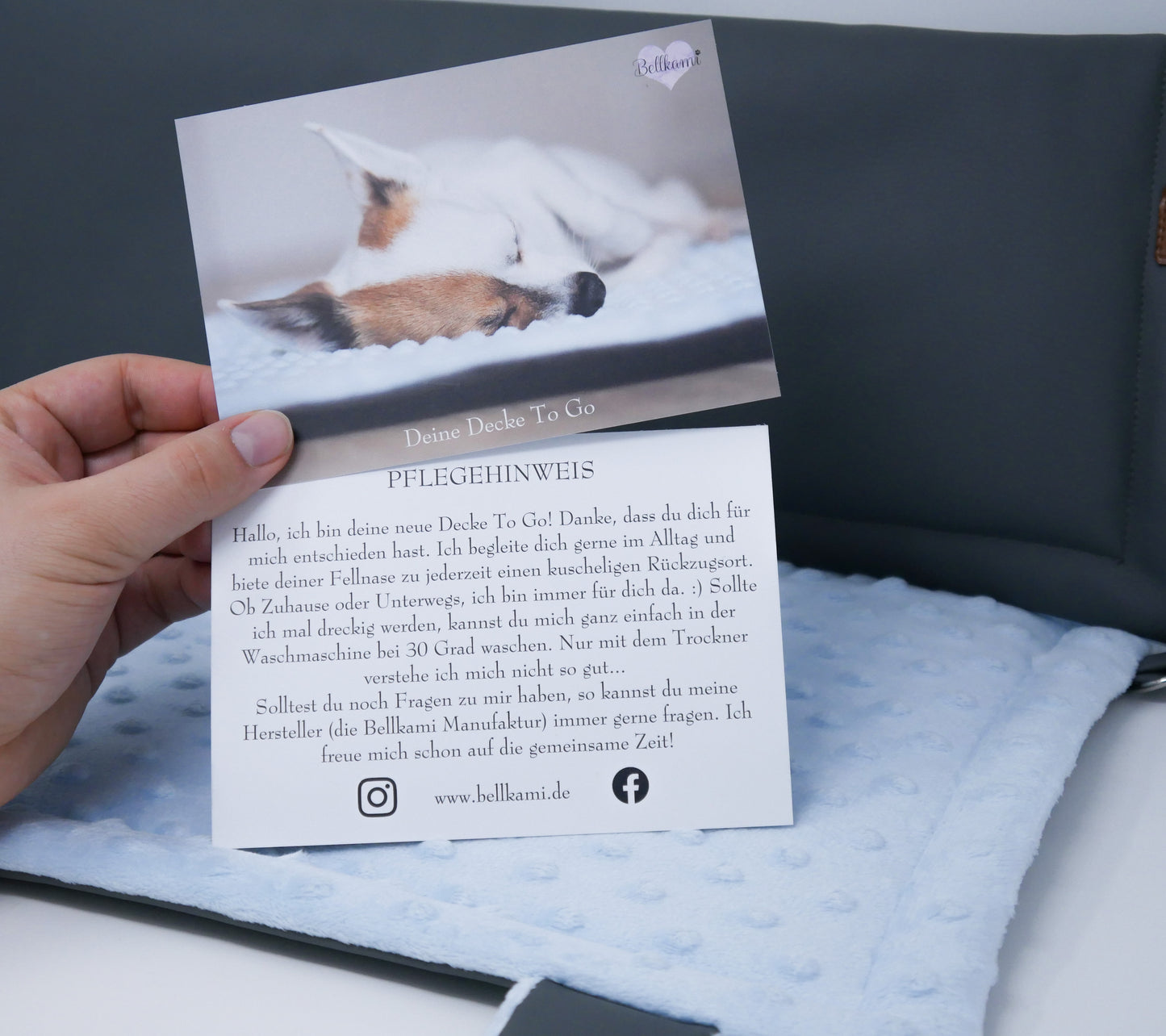 Blanket To Go 'Lines'