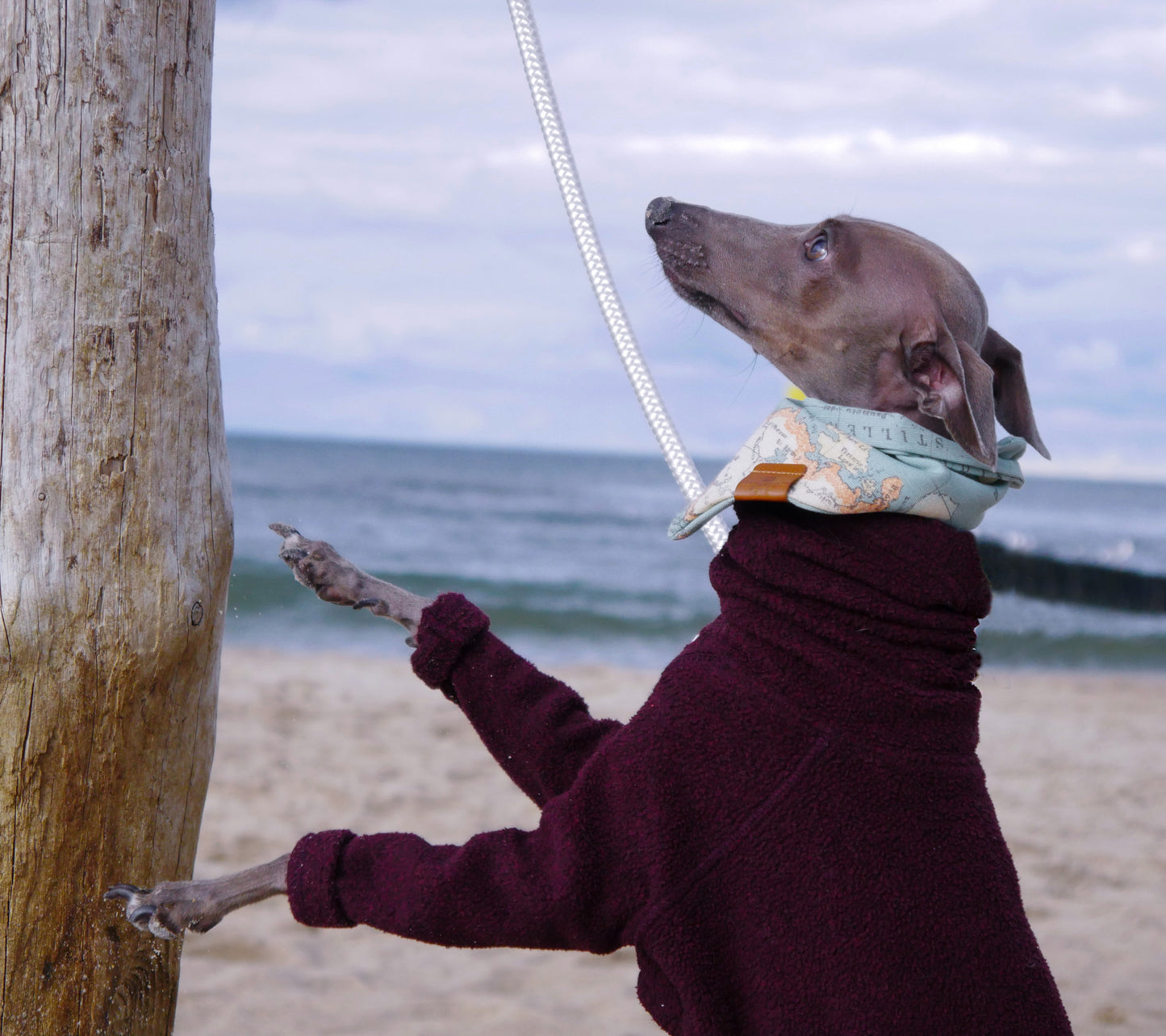 Bandana Traveller Green