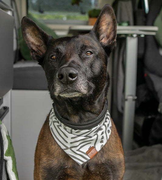 Bandana Aztec