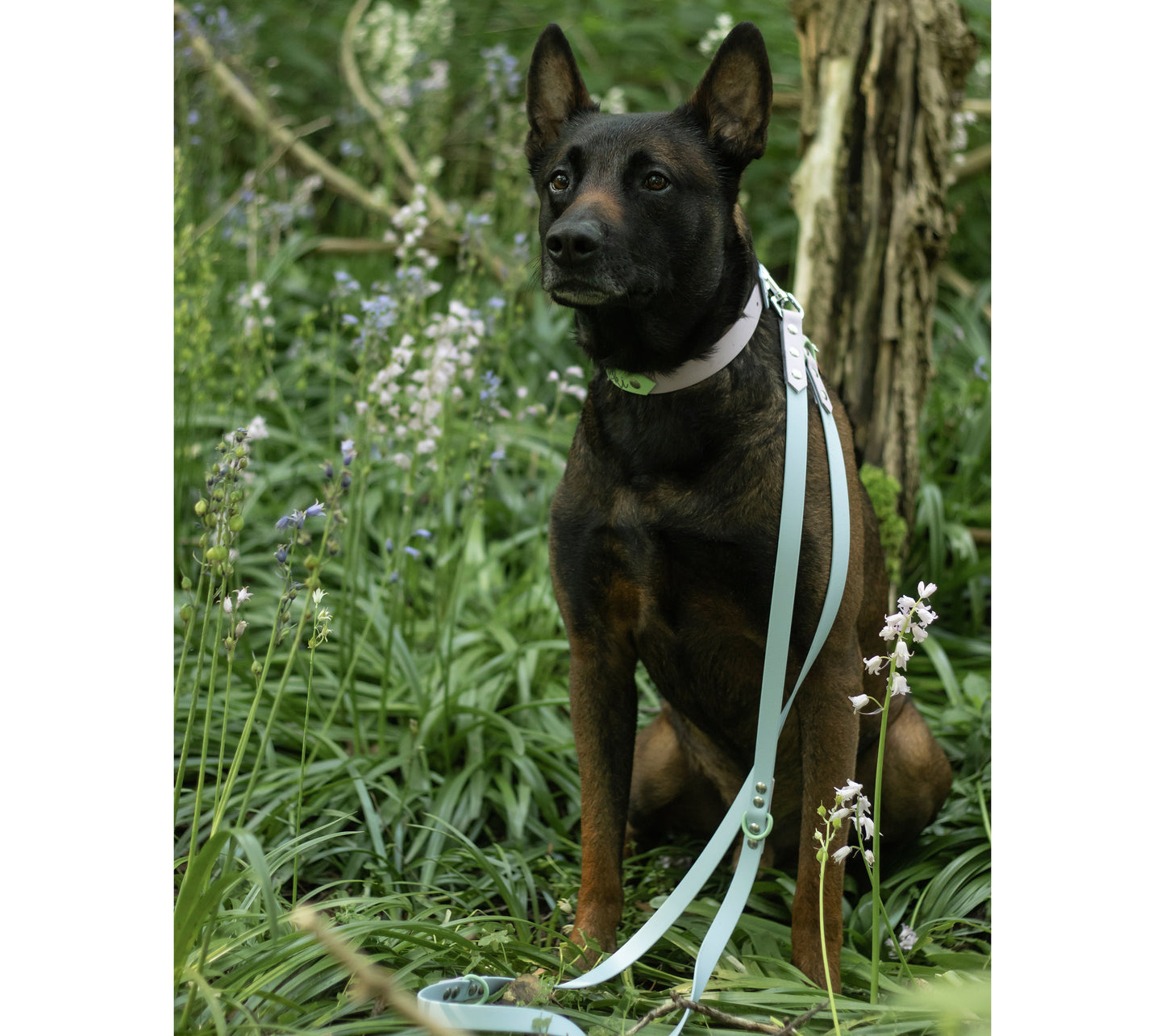 Biothane Leine Biothane 'MixIt' Loki