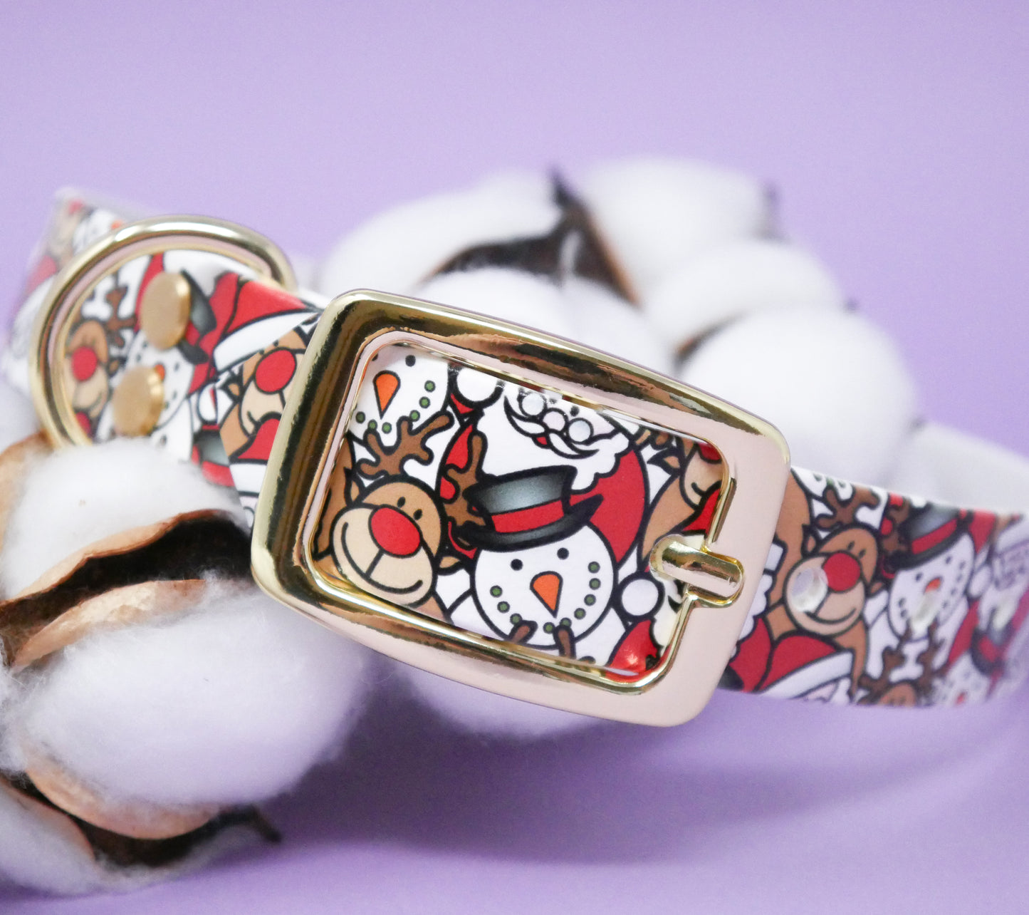 Biothane Halsband X-Mas - LIMITED EDITION