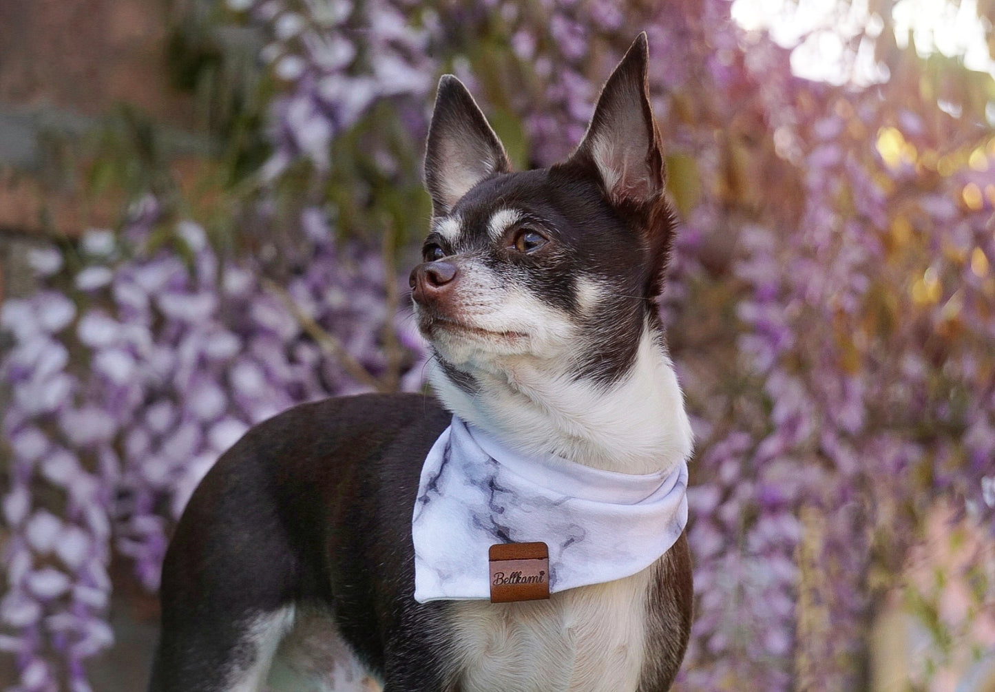 Bandana Stone Marble
