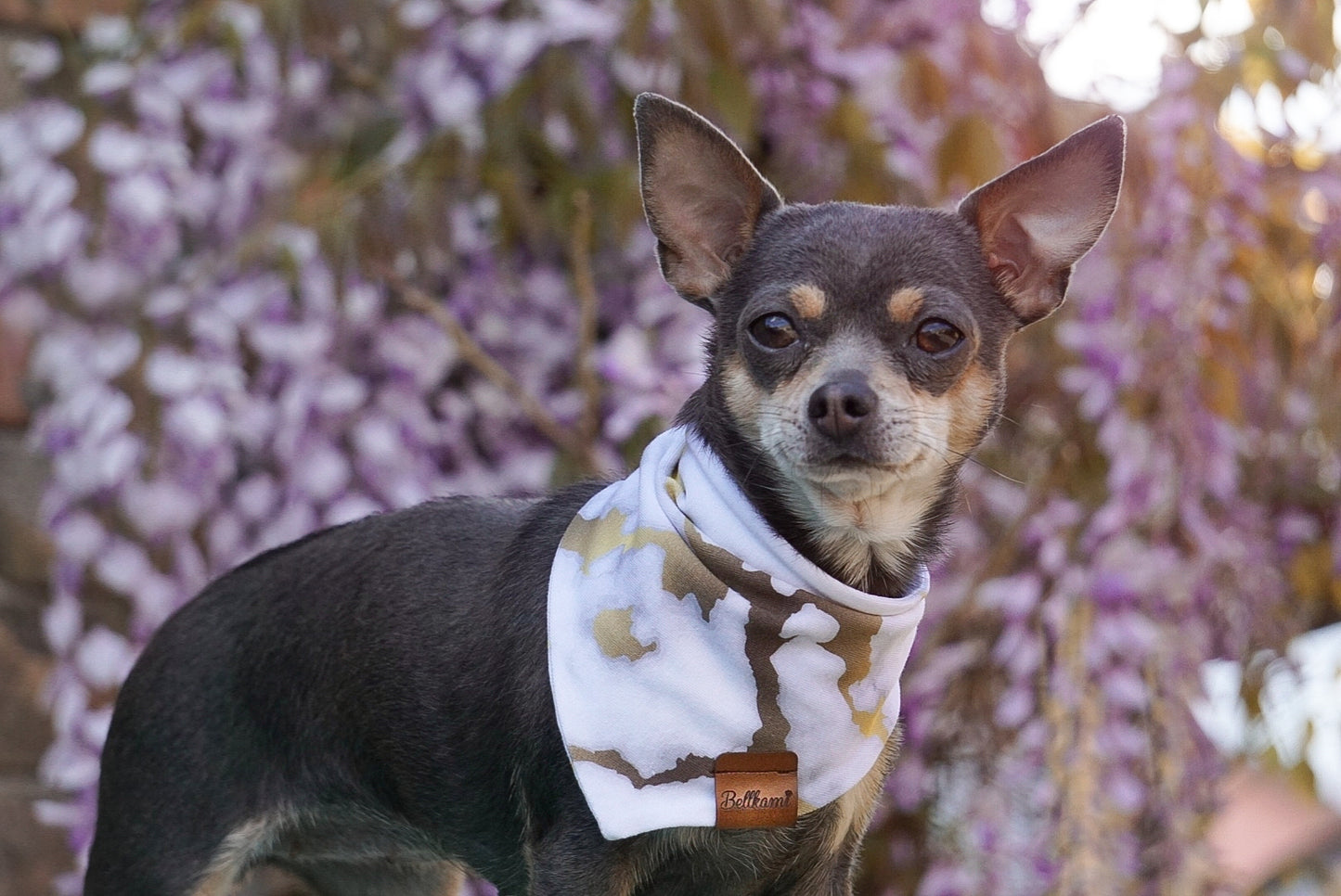 Bandana Golden Marble
