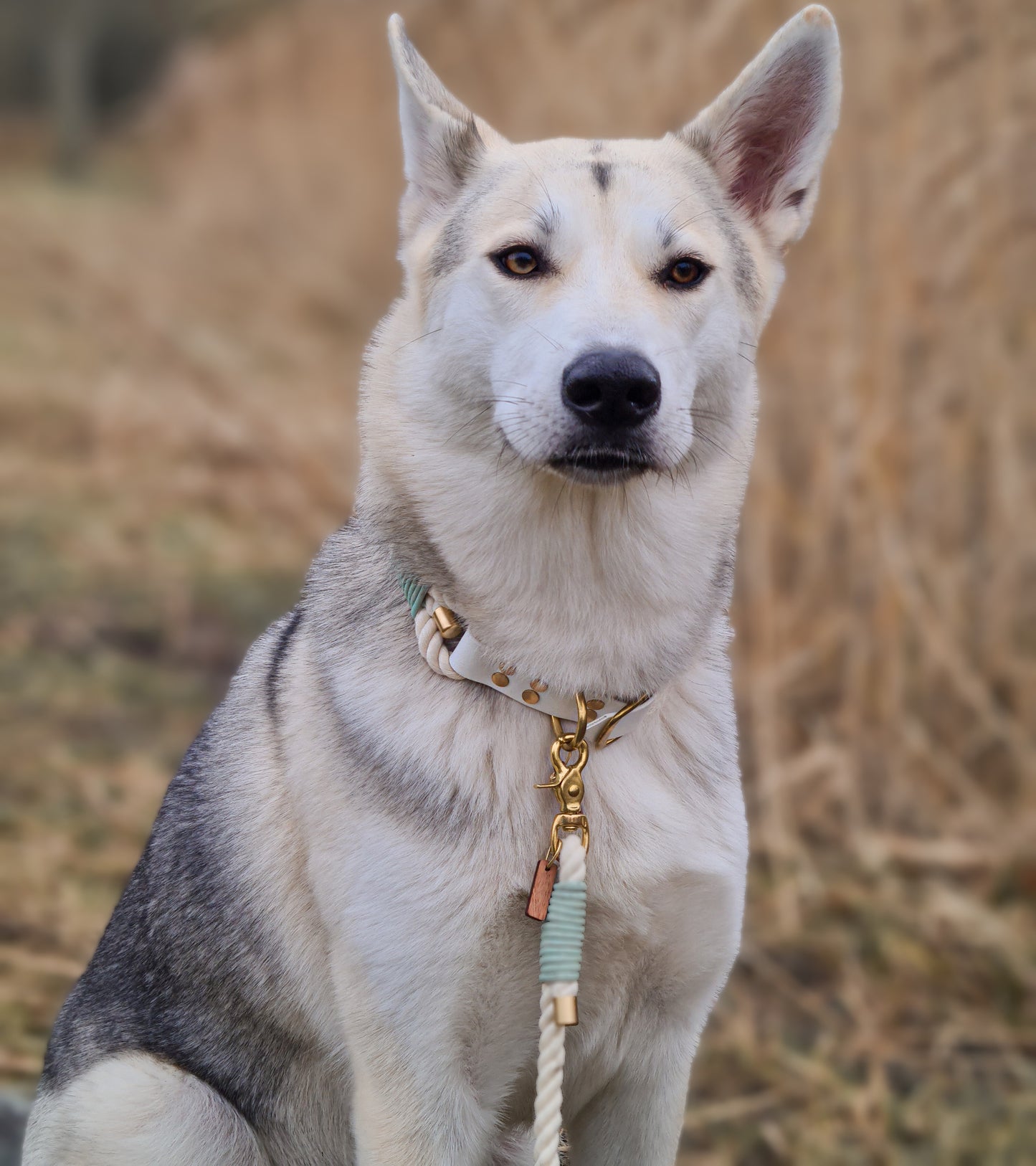 Atlas rope collar