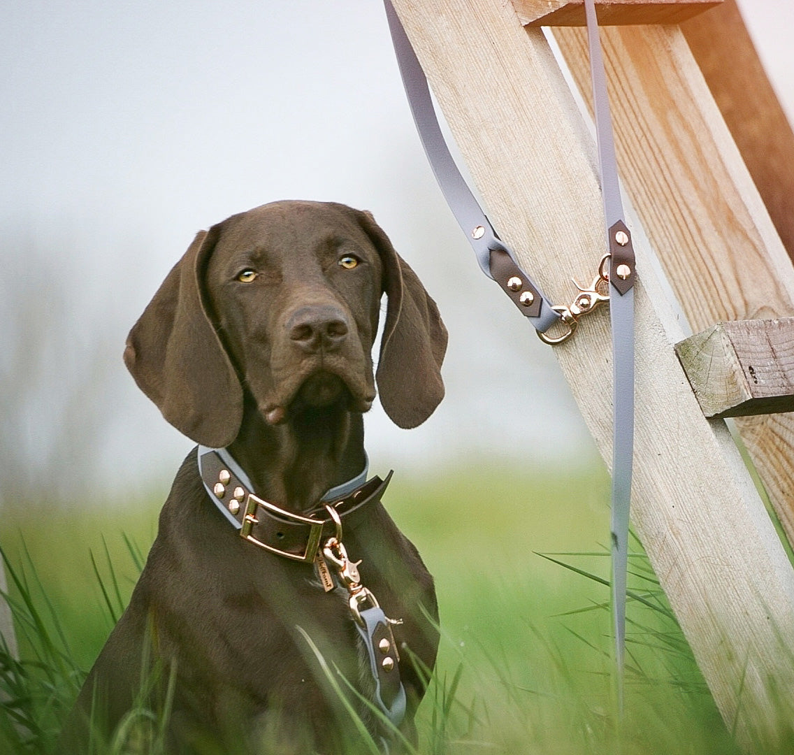 Biothane Halsband 'Greyhound Big' -  Braun/Grau