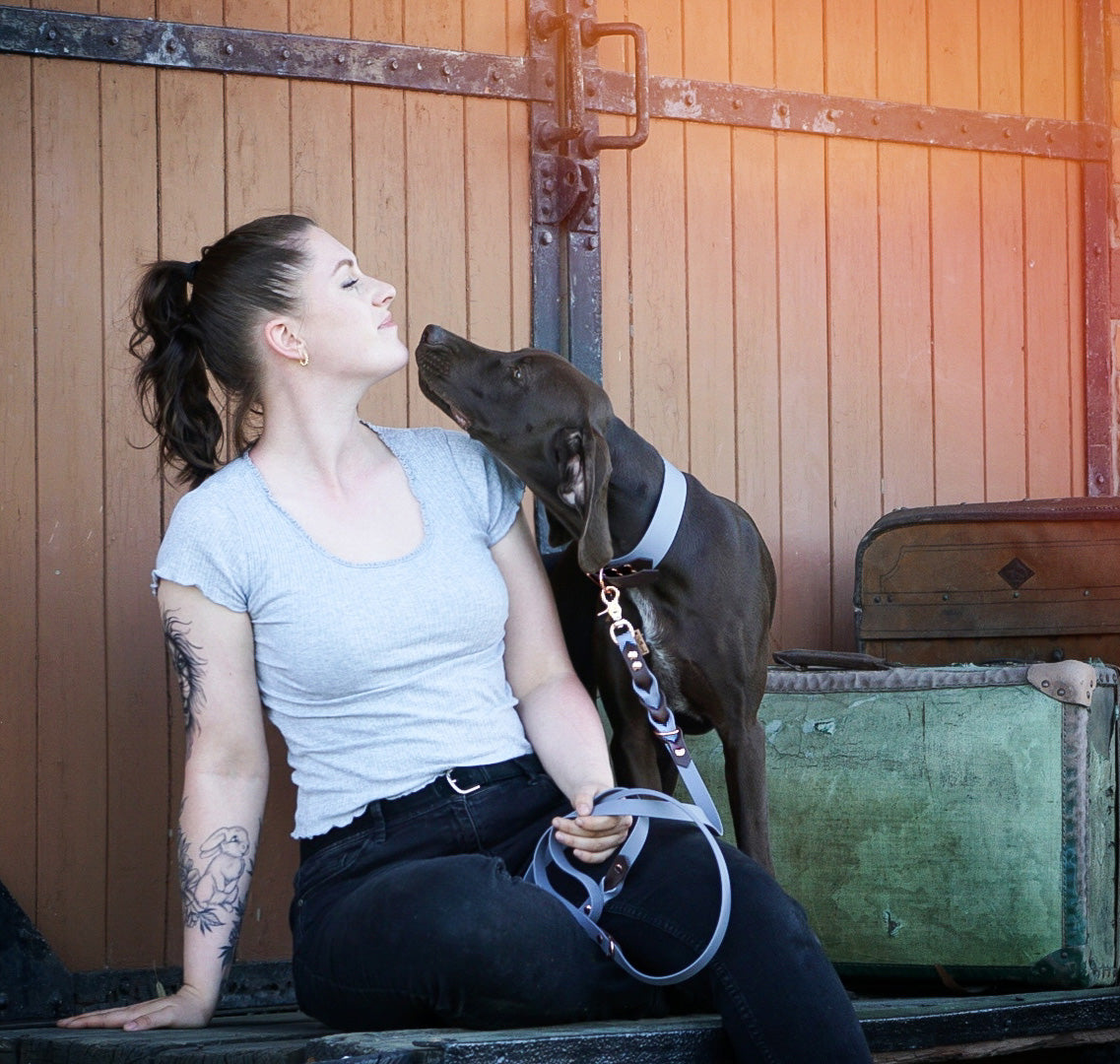 Biothane Leine 'Color Fusion' - Braun/Grau