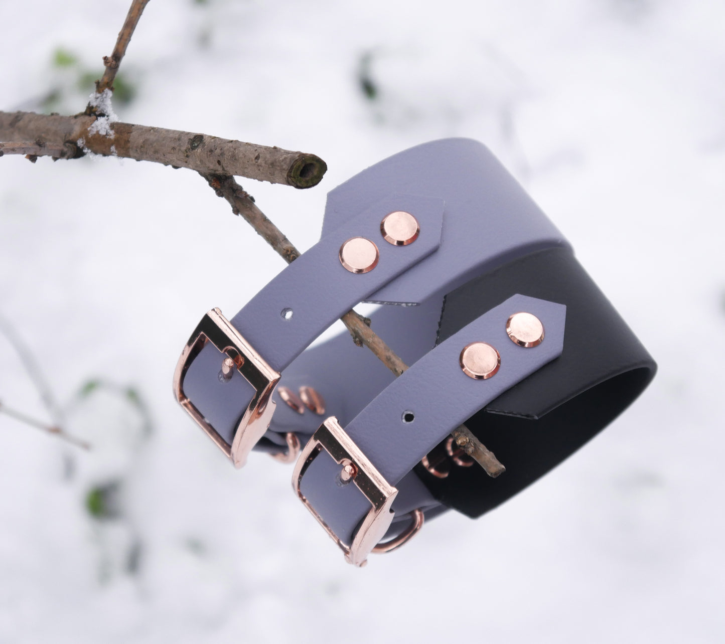 Biothane Halsband 'Greyhound'