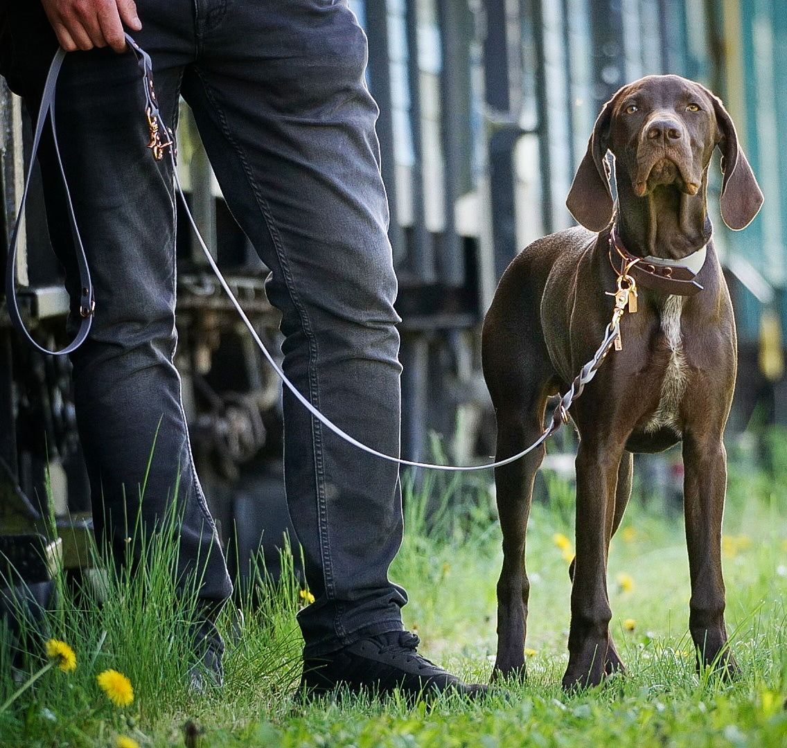 Biothane Leine 'Color Fusion' - Braun/Grau
