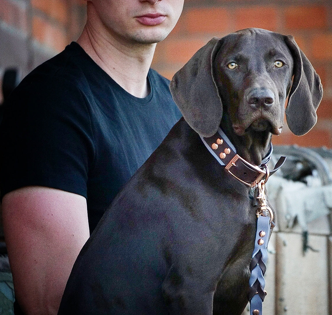 Biothane Halsband 'Greyhound Big' -  Braun/Grau