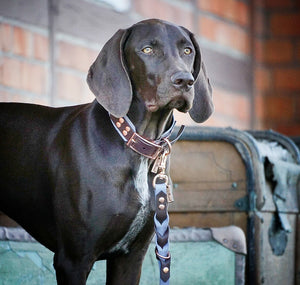 Biothane Halsband 'Greyhound Big' -  Braun/Grau