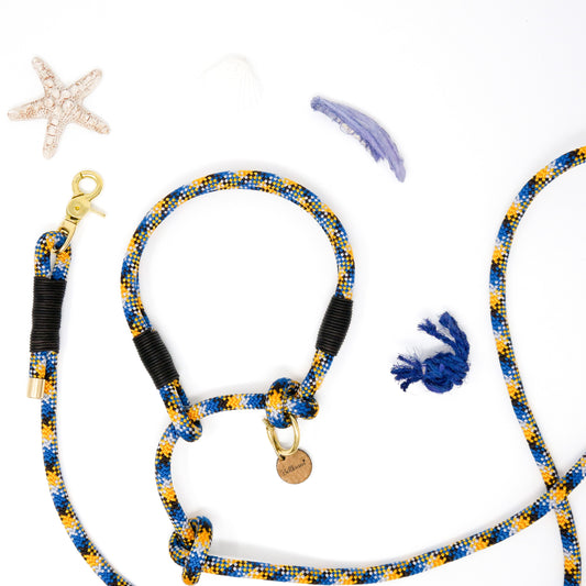 Tau-Retrieverleinen aus Kletterseil