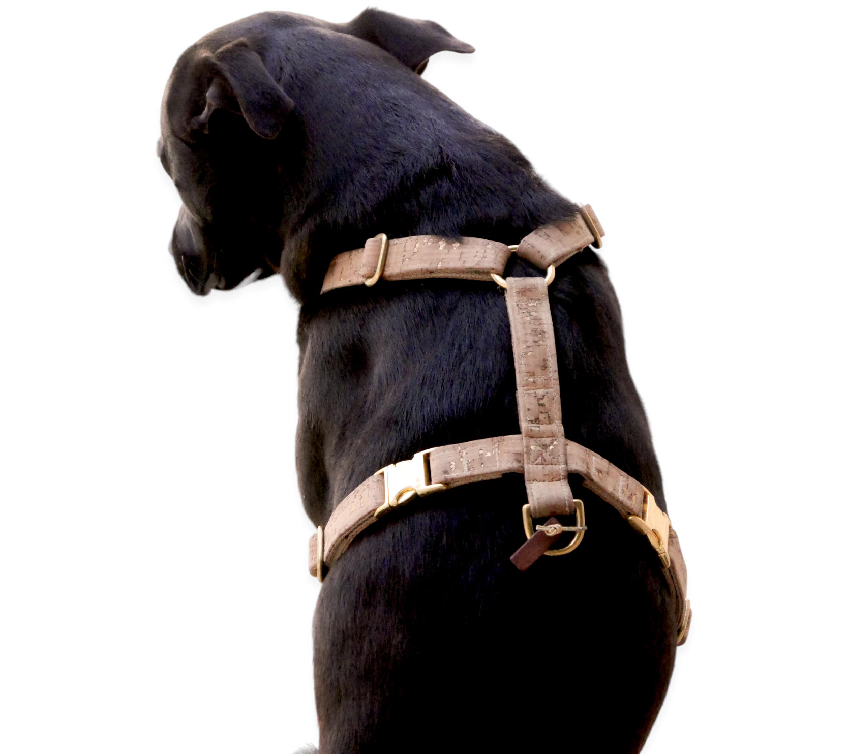Cork Dog Harness - Golden Day