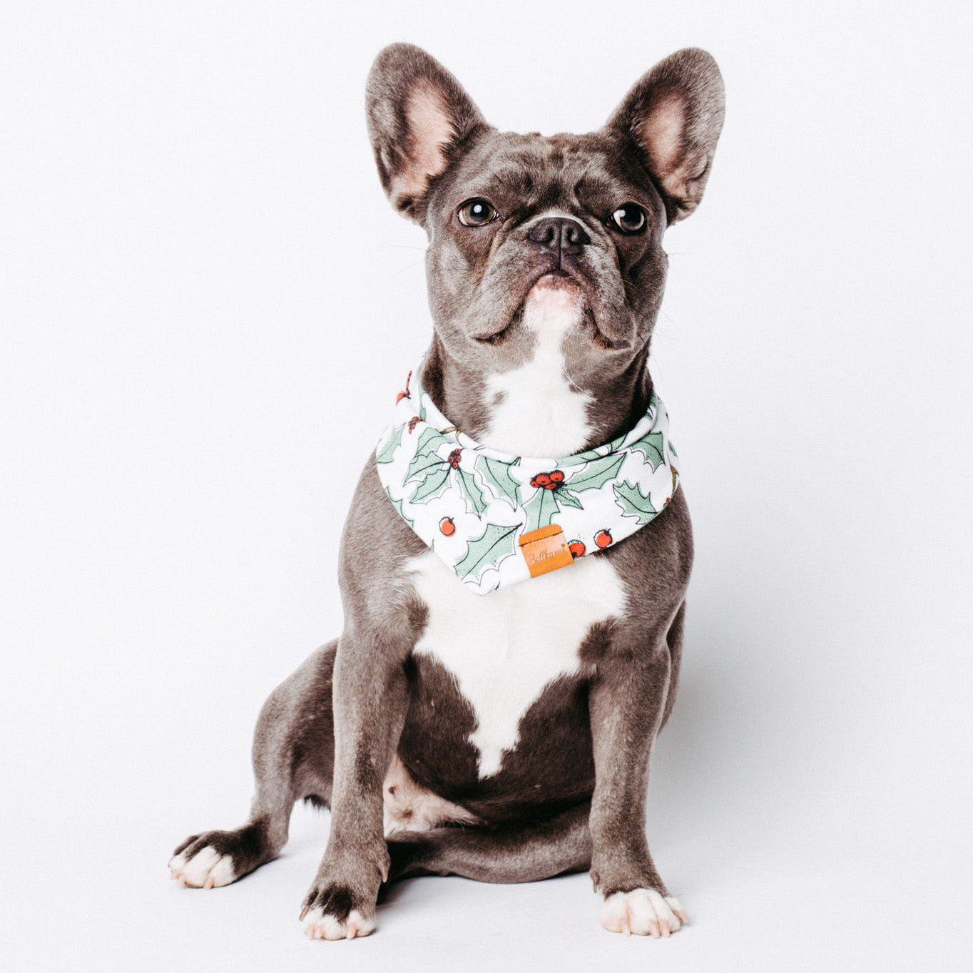 Bandana 'Wild Berries'