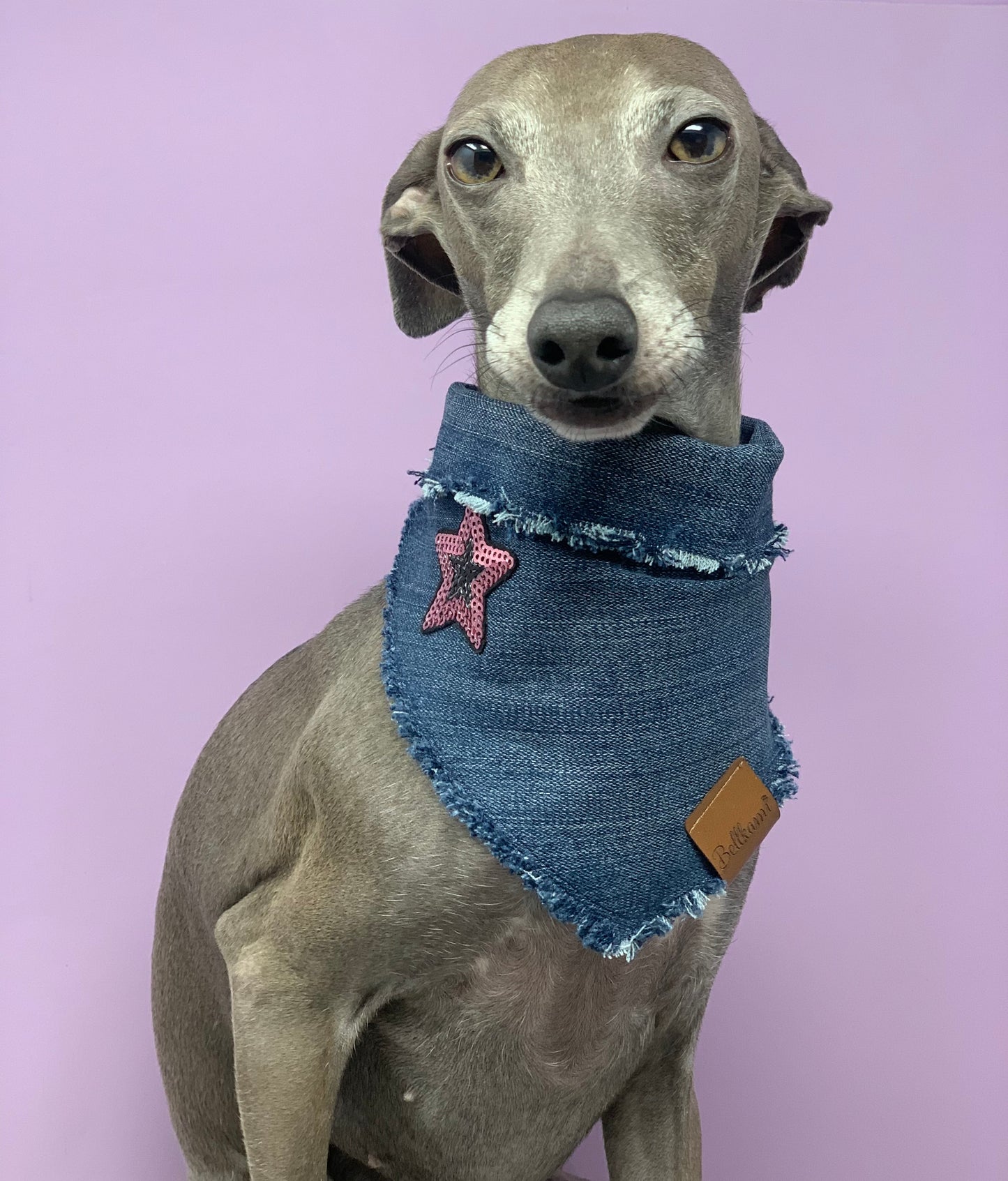 Bandana 'Denim' S SINGLE PIECE - Model 2