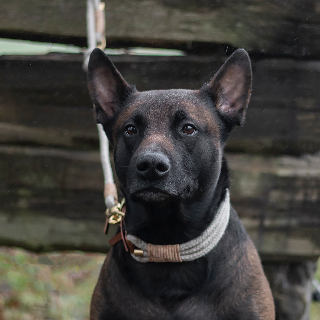 Tauleine 'Sahara' - aus Hanfseil