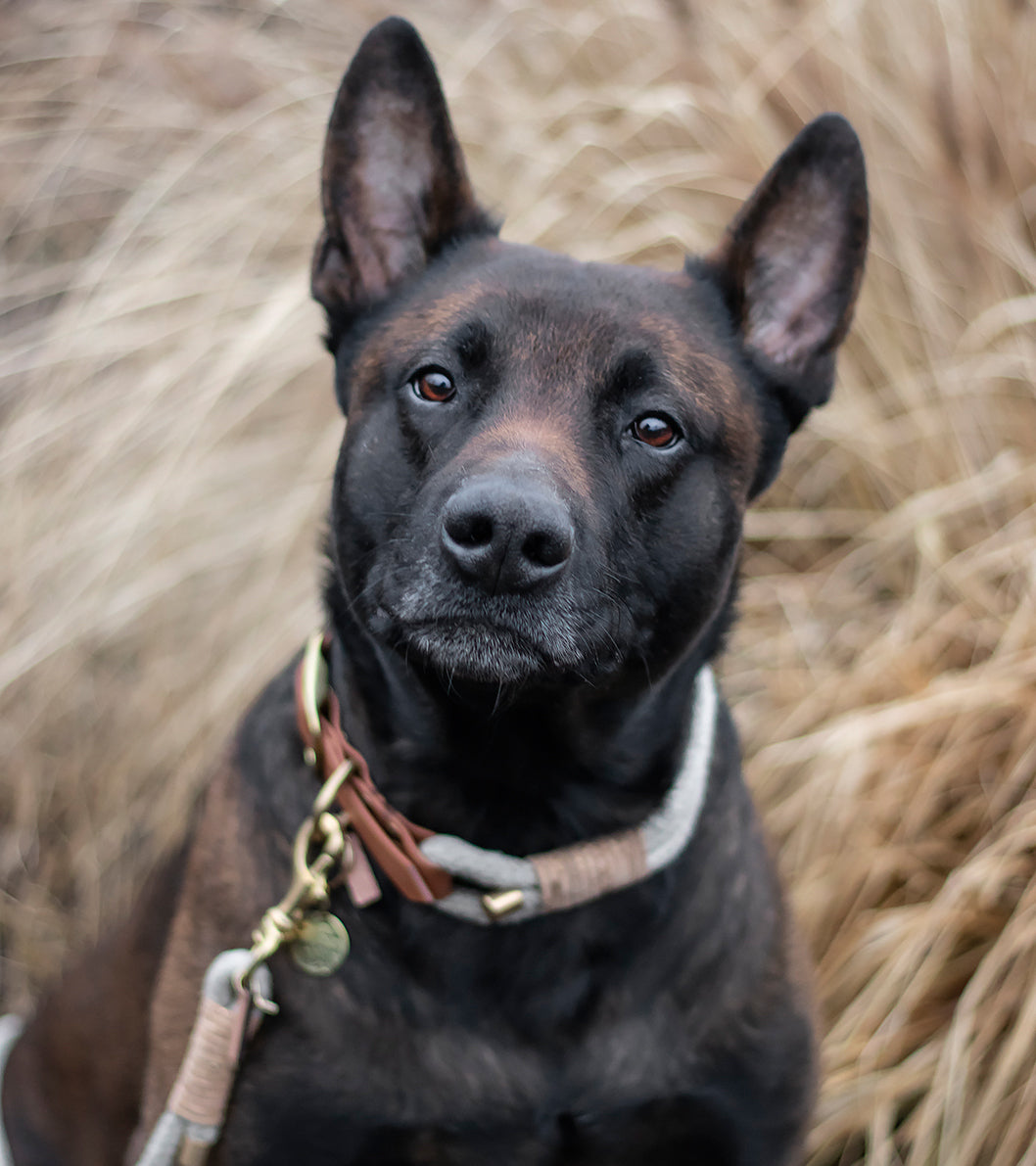 Tauleine 'Sahara' - aus Hanfseil