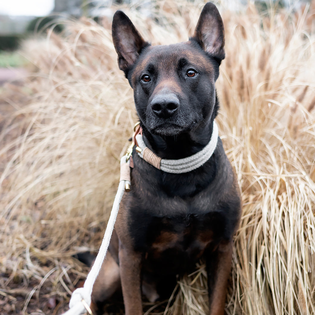 Tauhalsband 'Sahara' - aus Hanfseil