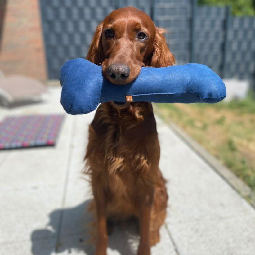 Jeansknochen upcycelt