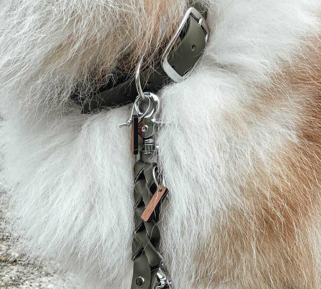 Biothane Collar Deluxe - Olive