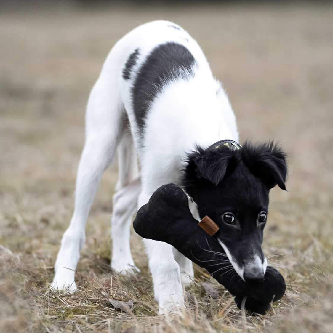 Jeansknochen upcycelt