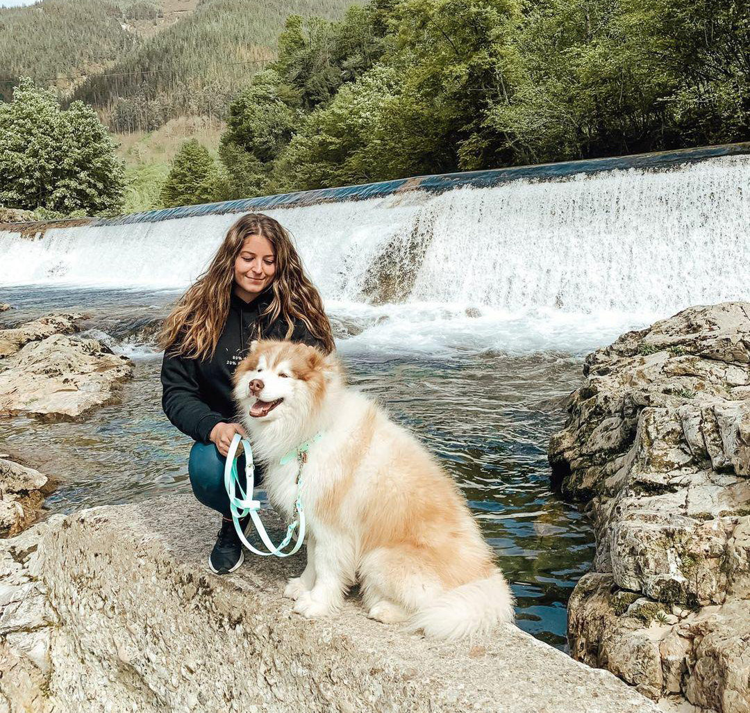 Biothane Leash Deluxe - Caribbean Green