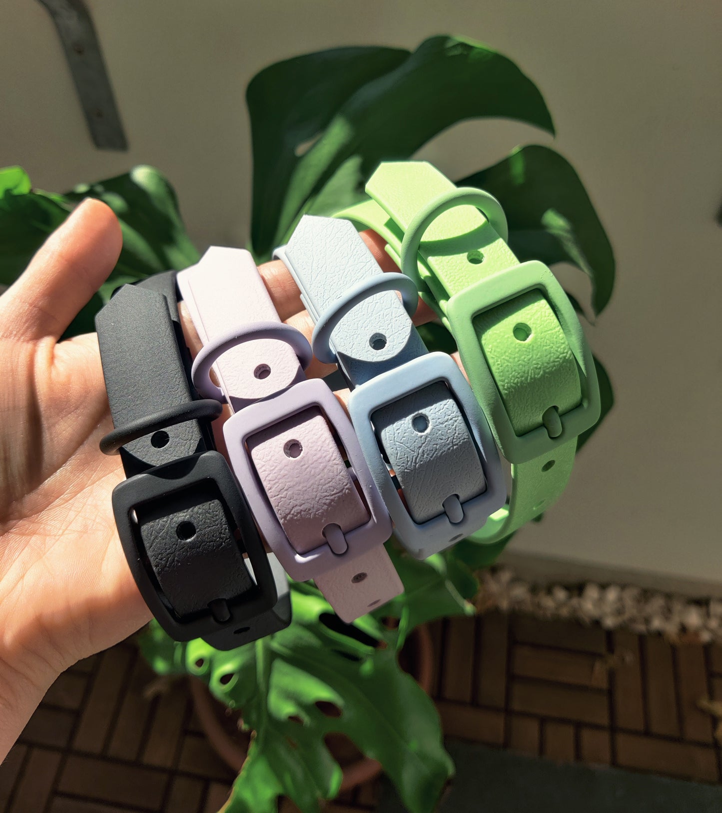 Halsband Biothane 'Colorful'