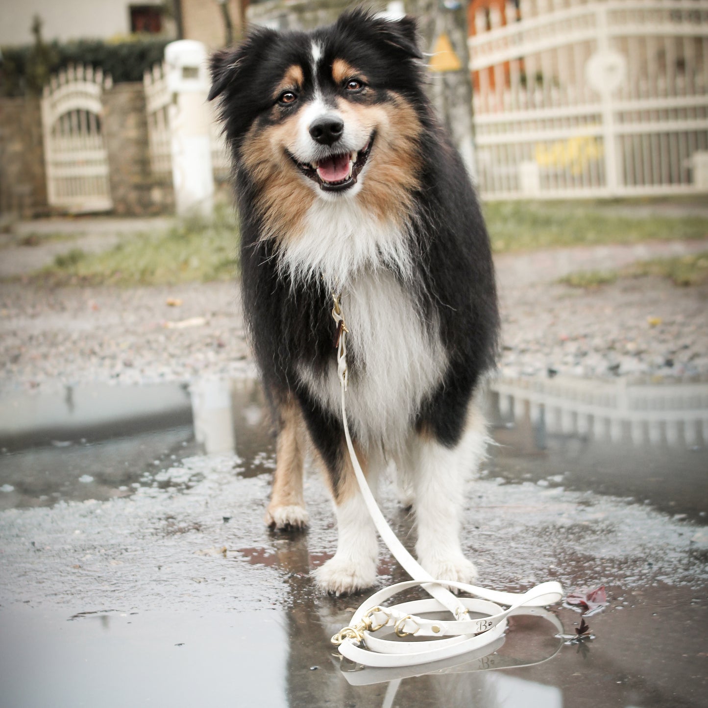 Biothane Leine Deluxe - Weiß