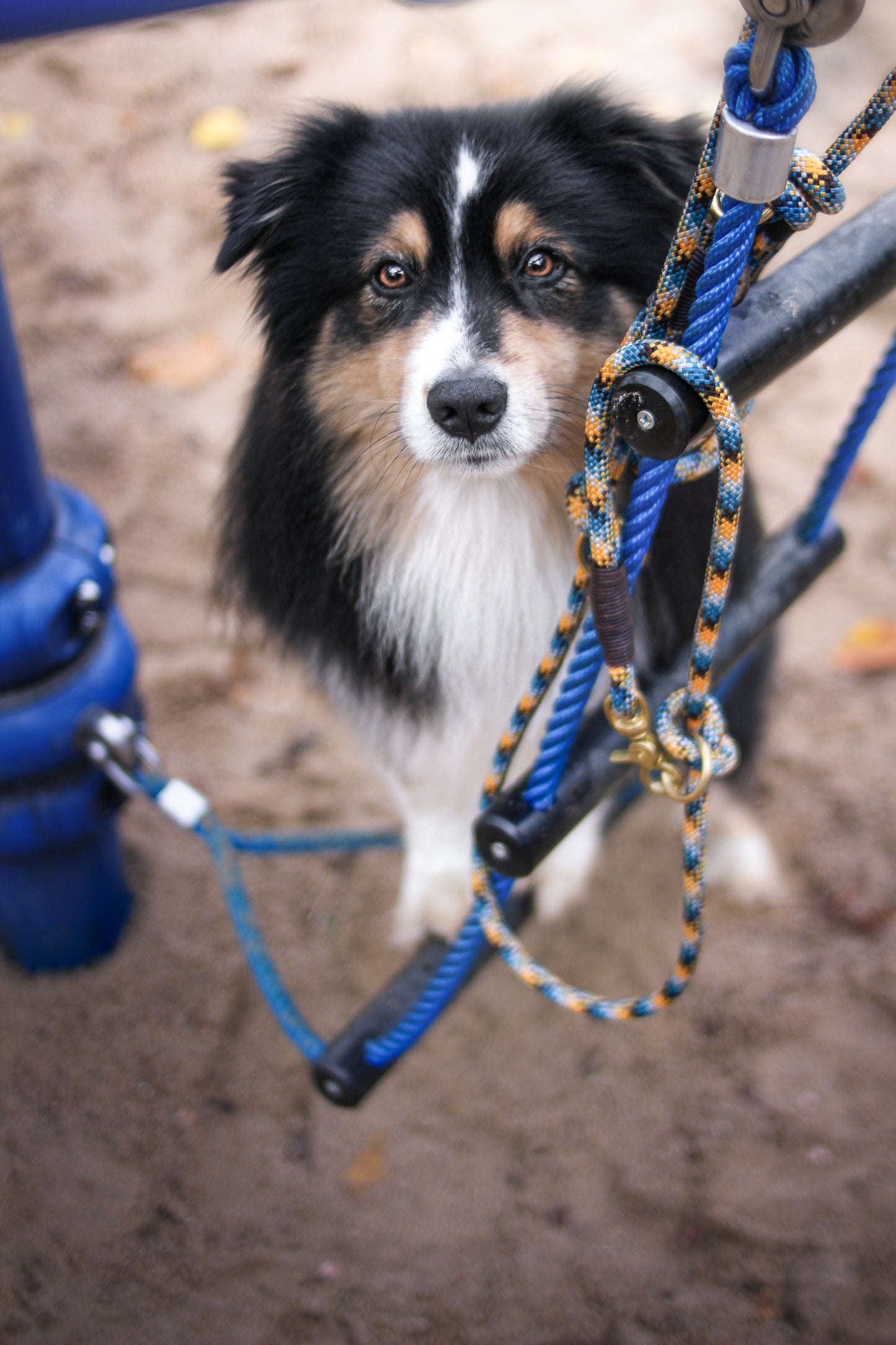 Tau-Retrieverleinen aus Kletterseil