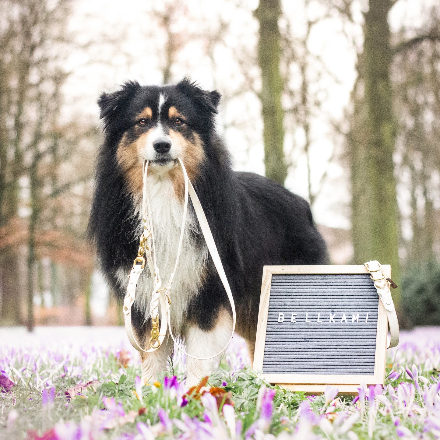 Biothane Collar Deluxe - White