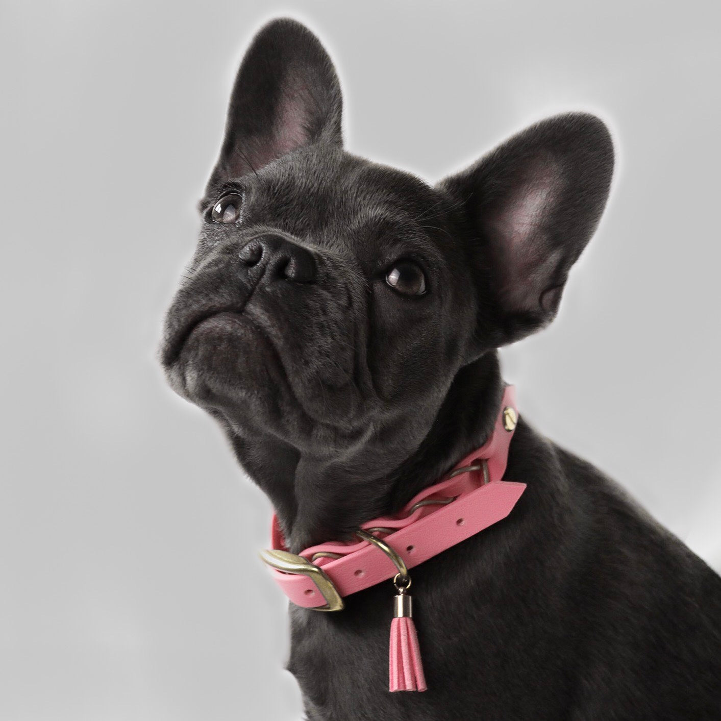 Biothane Collar Deluxe - Pastel Pink