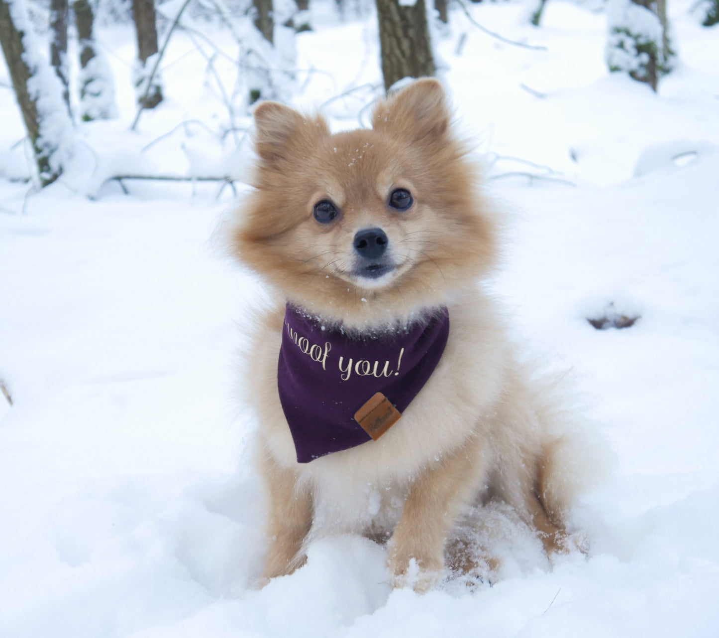 Schriftzug für Bandana