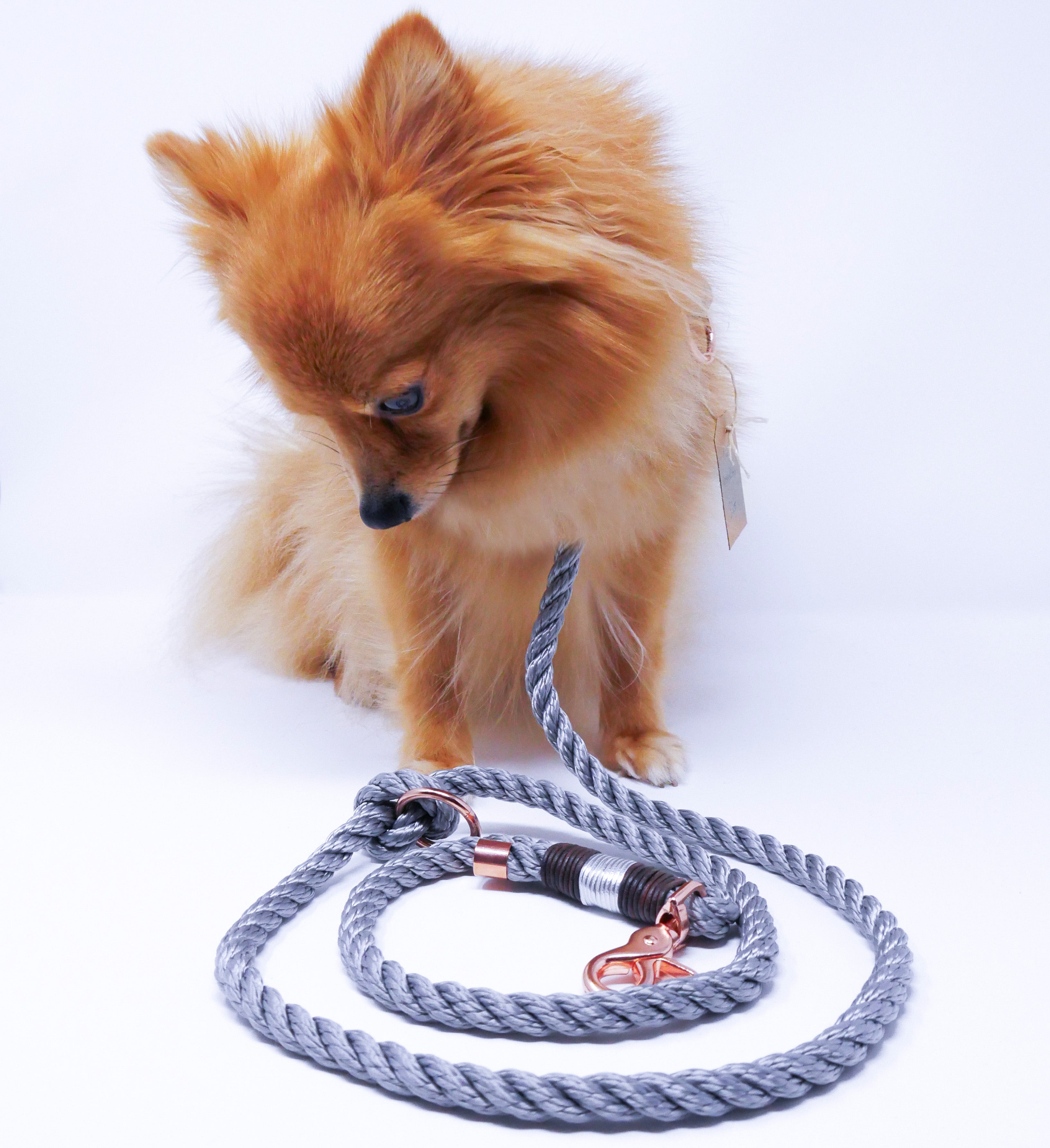 Rope Leash 'party'