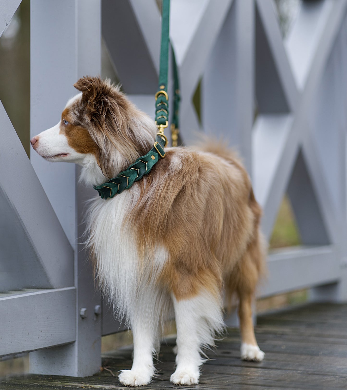 Leine Leather Deluxe