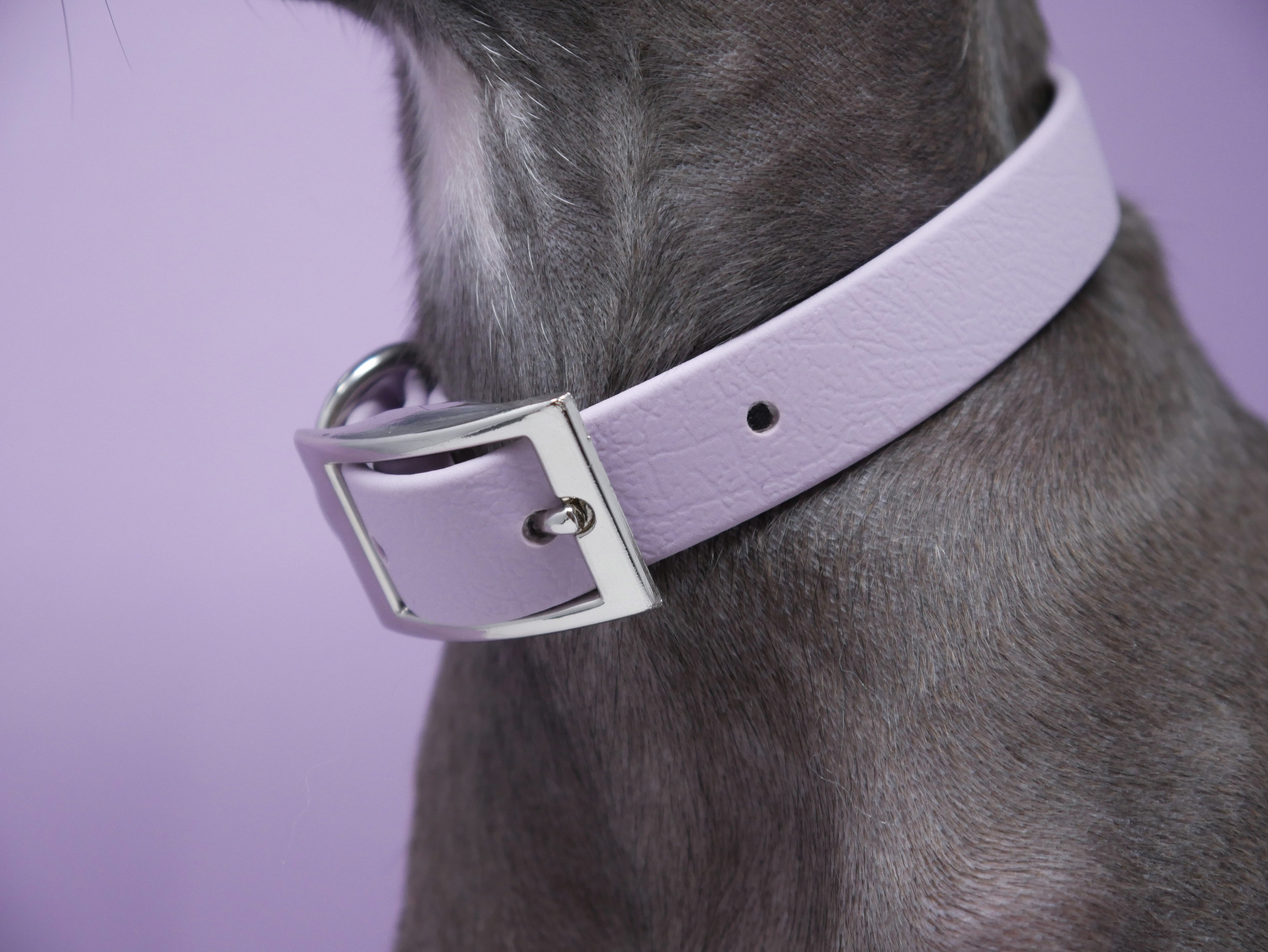 Biothane Collar Classy - Pastel Purple