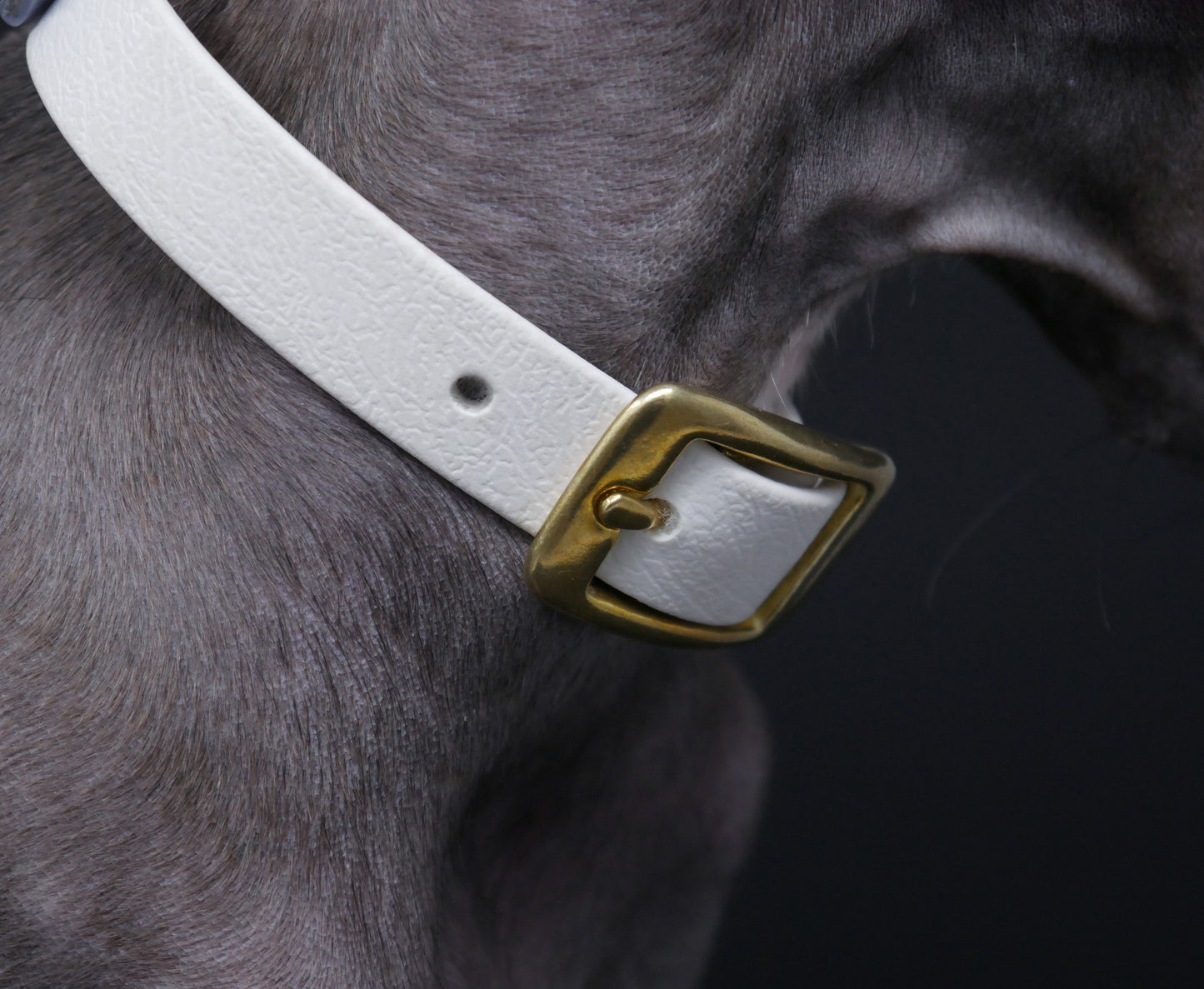 Halsband Biothane Classy