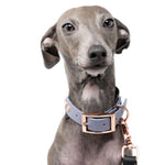 Biothane collar 'Greyhound'