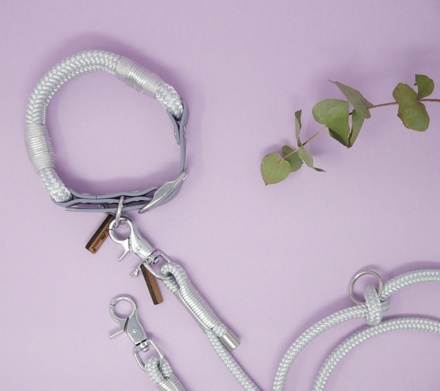 Tauhalsband 'Frozen Ice'